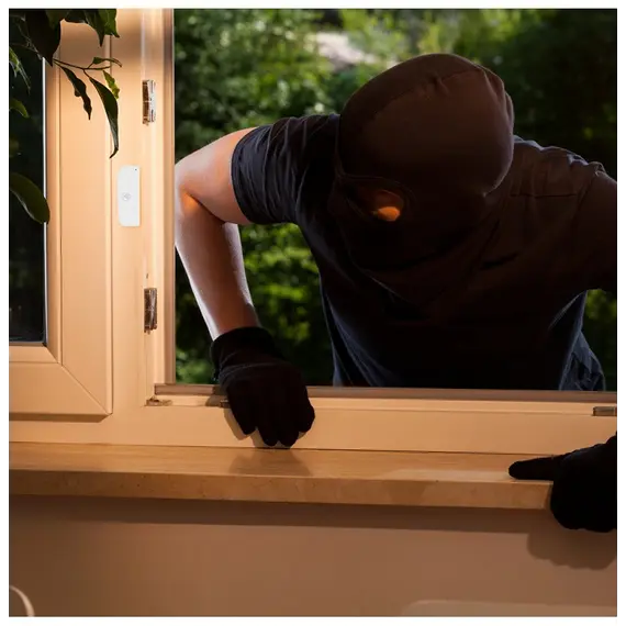 Sensori Tellur Smart Wifi, 4 imazh