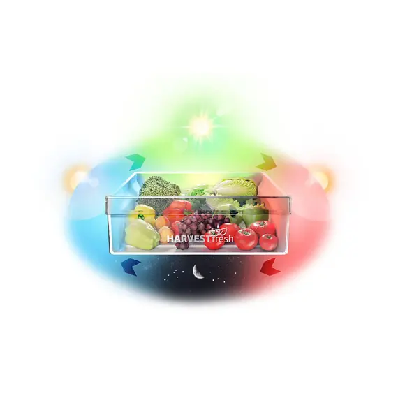 FRIGORIFER BEKO BCNA275E4SN, 5 imazh