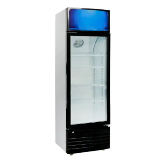 Frigorifer Elektra Kollone EF-WSHC1932OGS 360 L